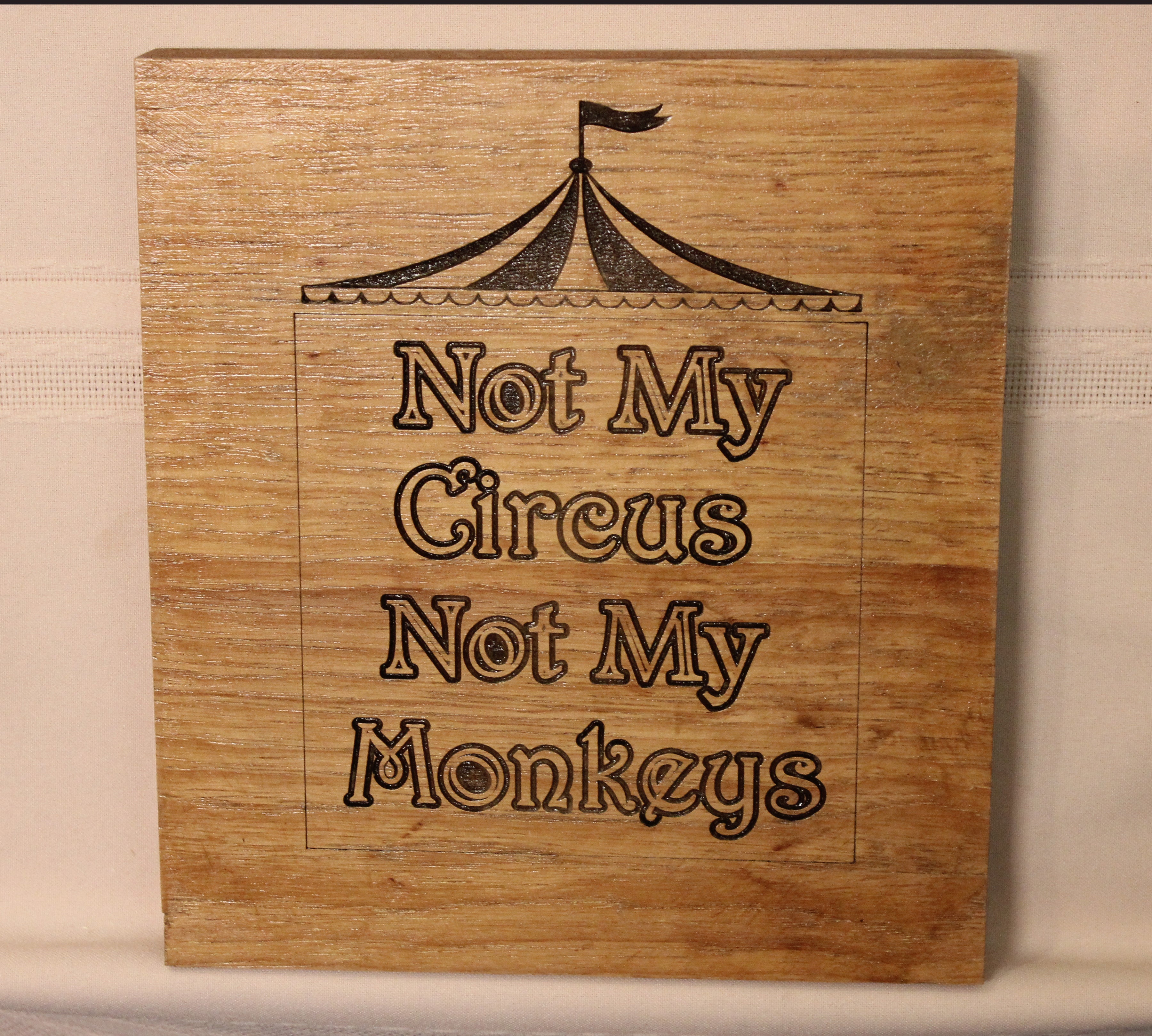Not My Monkeys