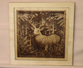 Deer in Forest
