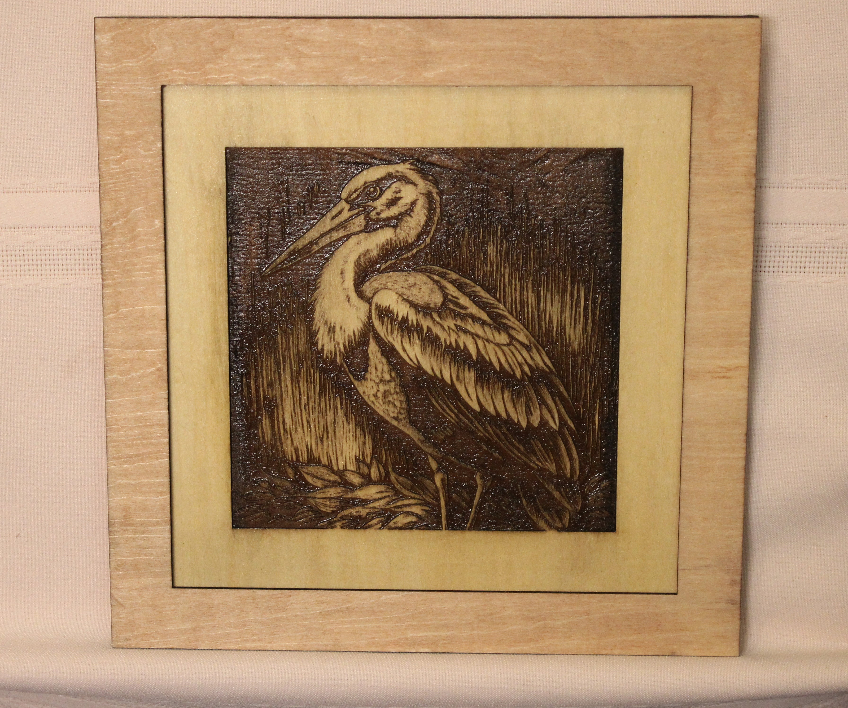 Pelican