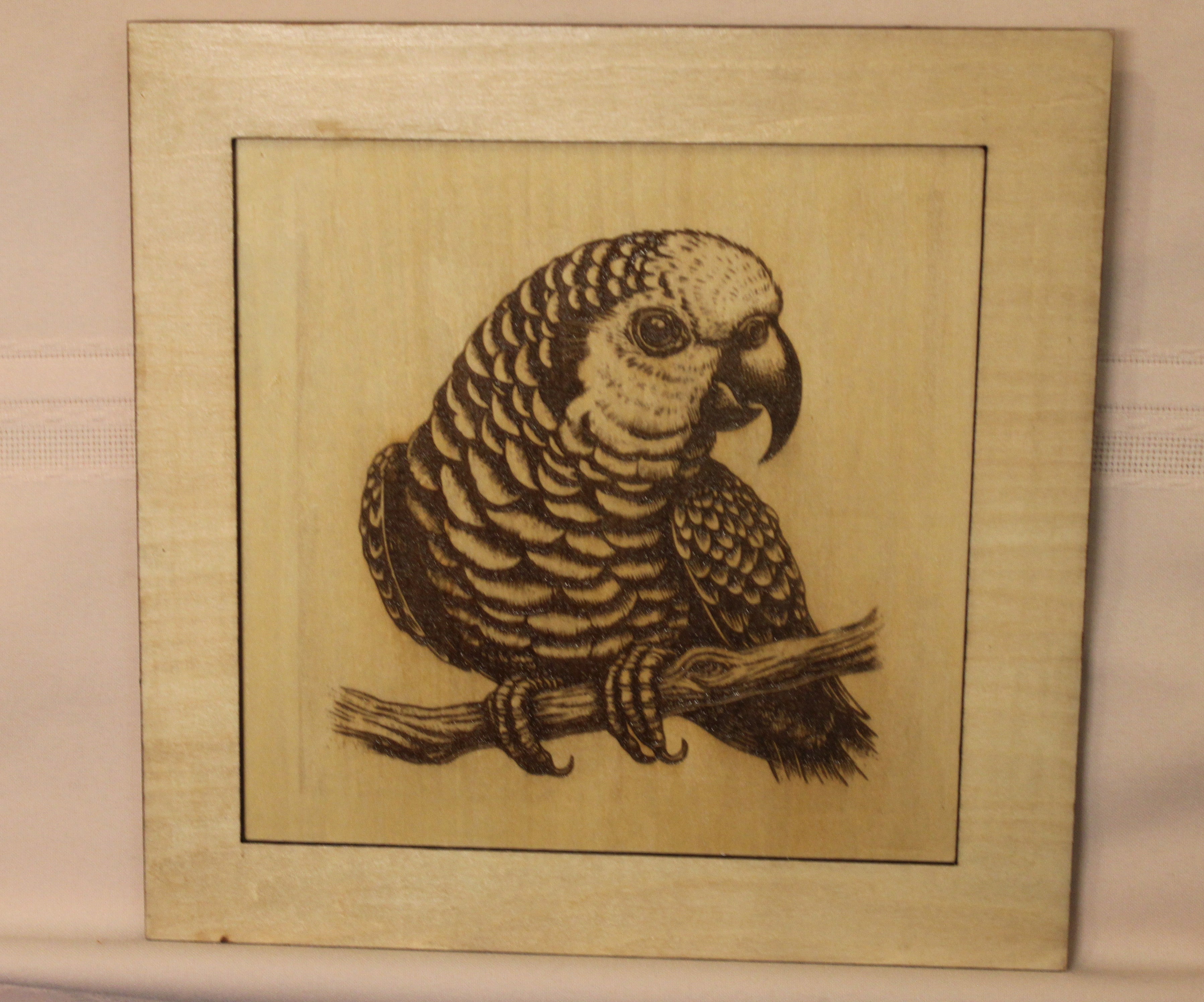 Parrot